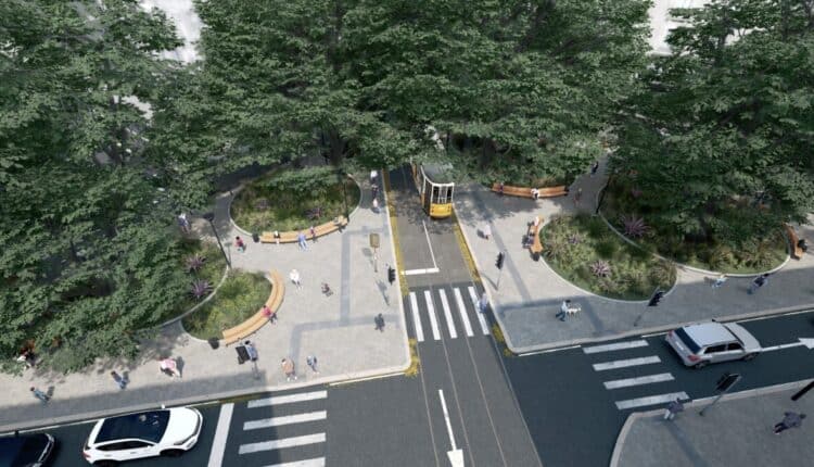 53344344953_074c08ef8c_o