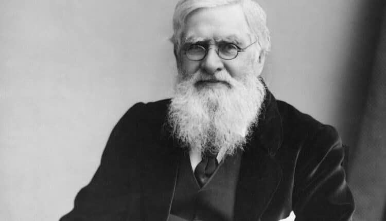 Verona, al museo di storia naturale si celebra il naturalista Alfred Russel Wallace