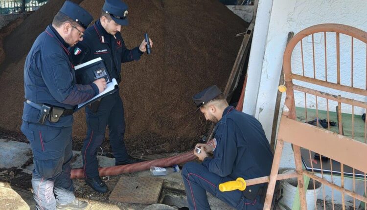 Sessa Aurunca (Caserta): i carabinieri forestali scoprono un illecito smaltimento di rifiuti speciali liquidi e di acque reflue industriali in un frantoio oleario.