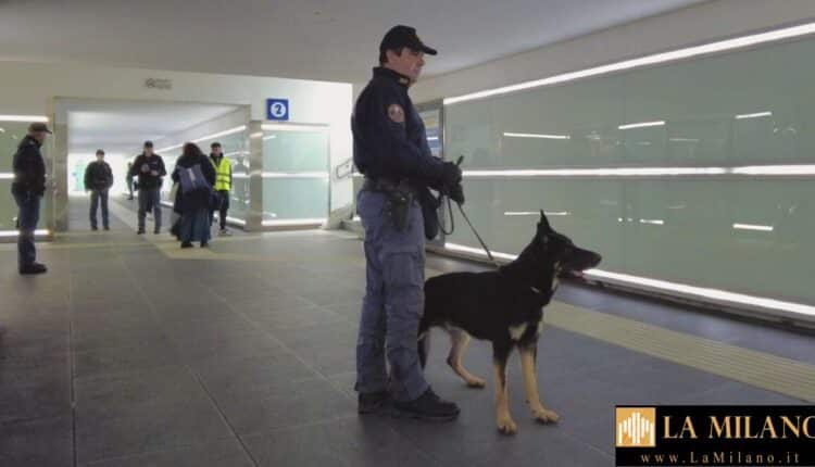 PHOTO-2023-11-09-16-56-26