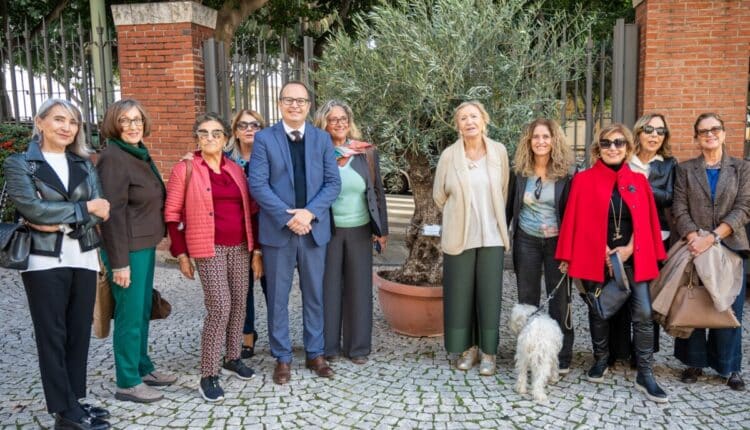Cagliari, Un ulivo secolare al Giardino sotto le mura