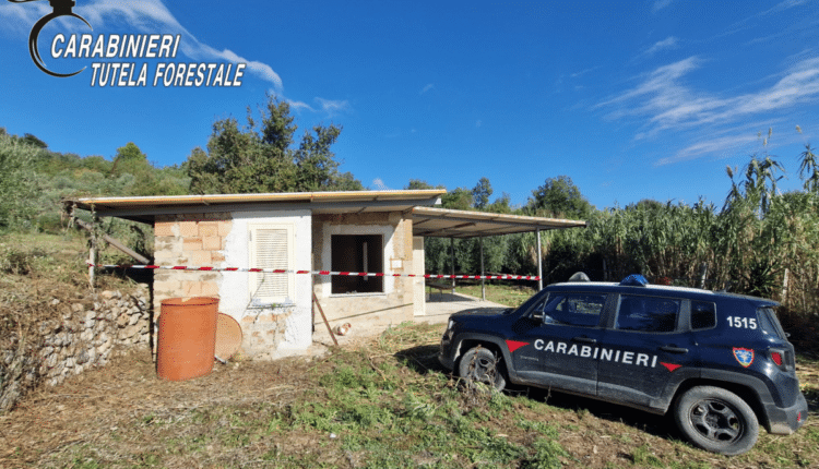 Falciano del Massico (Caserta): i Carabinieri forestale sequestrano fabbricato abusivo in corso di realizzazione in area protetta e tutelata paesaggisticamente.