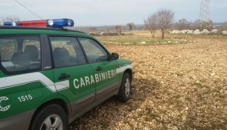 Firenze: nel comune i Carabinieri forestali denunciano tre persone per gestione e combustione illecita di rifiuti
