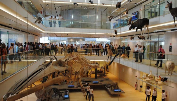 KALEIDOSCOPE di Karina Smigla-Bobinski. Da sabato 11 novembre al Museo Nazionale Scienza e Tecnologia a Milano la nuova installazione di arte interattiva che genera colore ad ogni tocco.