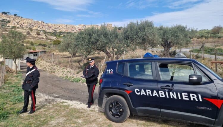 Ragusa:rapina di un vitello a San Giacomo, i Carabinieri arrestano il responsabile.