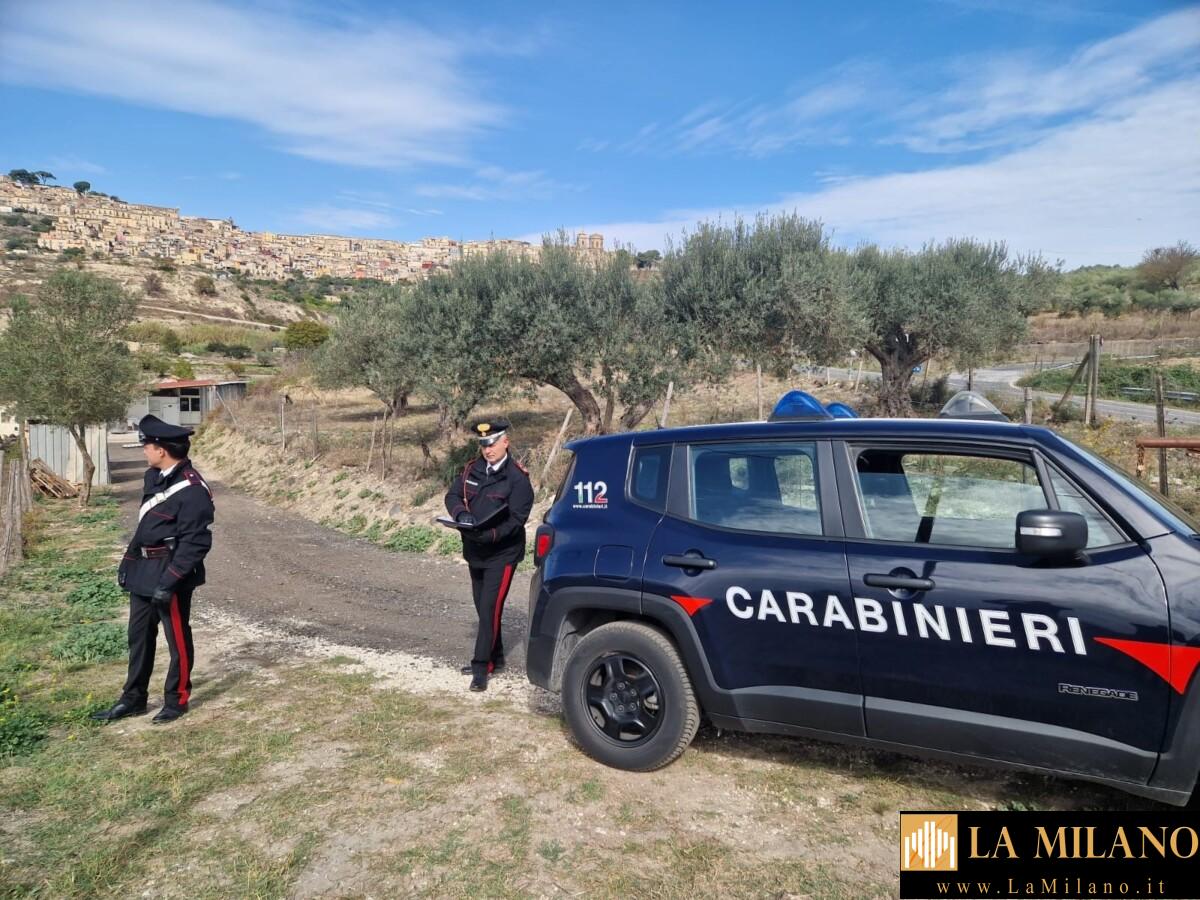 Ragusa:rapina di un vitello a San Giacomo, i Carabinieri arrestano il responsabile.