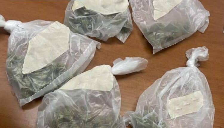 san_paolo_droga_logo