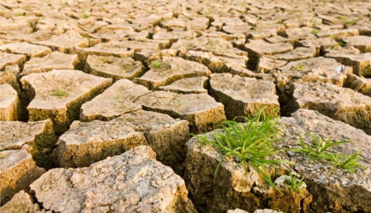 Sassari, aggiornamento del Piano locale di adattamento ai cambiamenti climatici