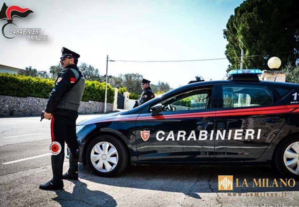 Fasano (Brindisi): emesse 4 segnalazioni, 6 denunce, 1 arresto, trovate 16 autovetture rubate, controllati circa 1170 veicoli, identificate più di 1700 persone.