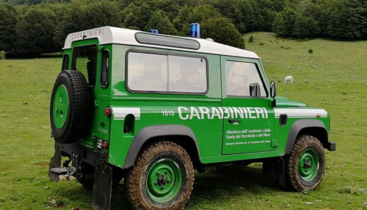 Capoliveri: denunciata una donna per realizzazione di opere edili senza la prevista autorizzazione in area sottoposta a vincolo paesaggistico