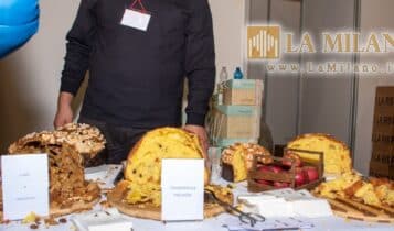 Re Panettone - Novegro - 2023