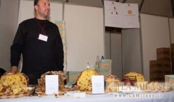 Re Panettone - Novegro - 2023