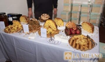 Re Panettone - Novegro - 2023