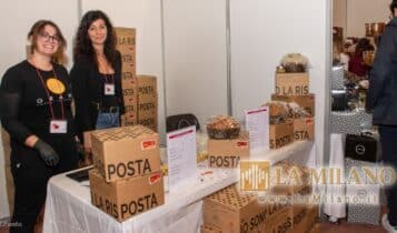 Re Panettone - Novegro - 2023