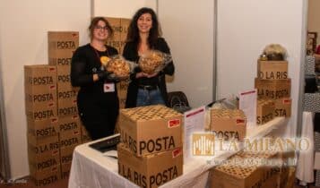 Re Panettone - Novegro - 2023