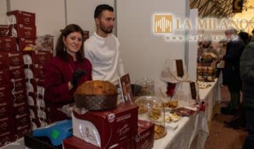 Re Panettone - Novegro - 2023