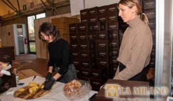 Re Panettone - Novegro - 2023