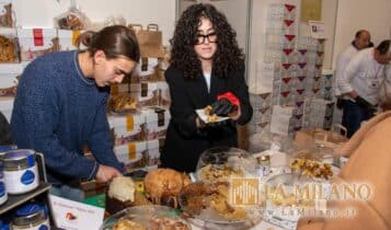 Re Panettone - Novegro - 2023