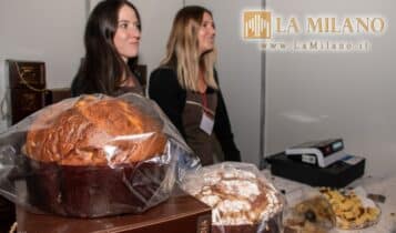 Re Panettone - Novegro - 2023