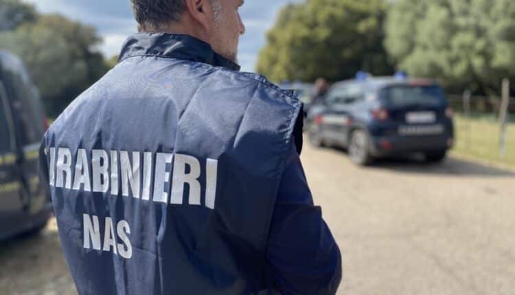 Sassari: sequestro amministrativo di uno stabilimento di produzione, confezionamento e commercializzazione di "pane carasau e guttiau".