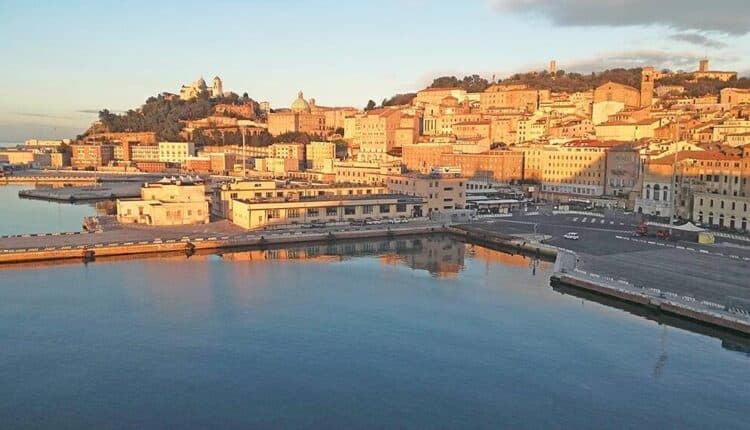 Ancona: nuovo sistema per la cattura dei cinghiali, il sindaco emana una ordinanza.
