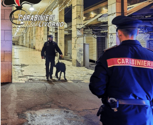 Livorno: 39enne denunciato per guida in stato di ebbrezza, 23enne segnalato per consumo personale di stupefacenti e sospesa l’attività di un ristorante etnico.