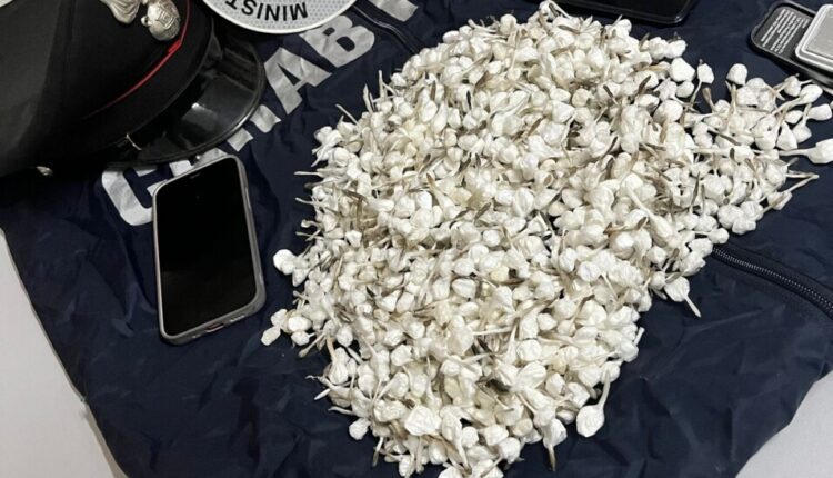 19enne casertano beccato con oltre 1200 dosi di sostanza stupefacente, arrestato.