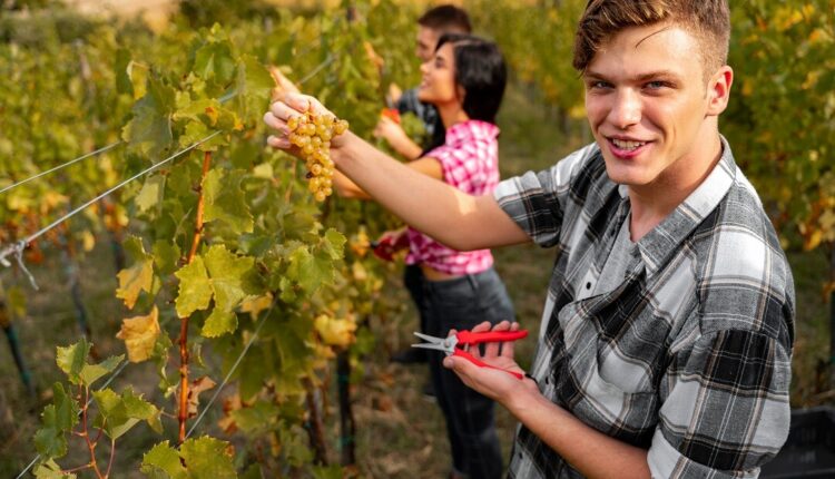 Lombardia, bando regionale dedicato all'insediamento dei giovani in agricoltura.