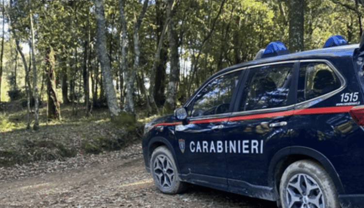 Suvereto e Campiglia (Livorno): svolti i controlli dei carabinieri forestali nelle aree boschive, tre cacciatori sanzionati per mancata annotazione sul tesserino regionale e per mancato smantellamento dell’appostamento fisso.
