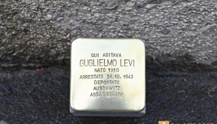 53487030090_97a5b94062_o