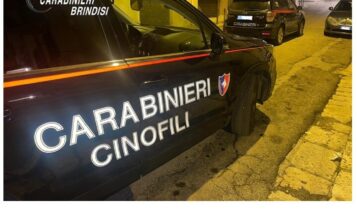 Rete di spaccio e traffico di sostanze stupefacenti pluriaggravato. Intensificazione dei controlli, poi arresto da parte dei Carabinieri