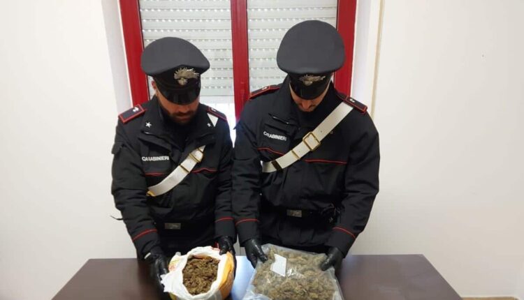 GALTELLI’. OCCULTAVA IN UN CANILE OLTRE 1 KG DI MARIJUANA ARRESTATO (2)