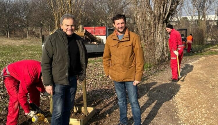 Verona, al via il piano di riforestazione urbana 2024