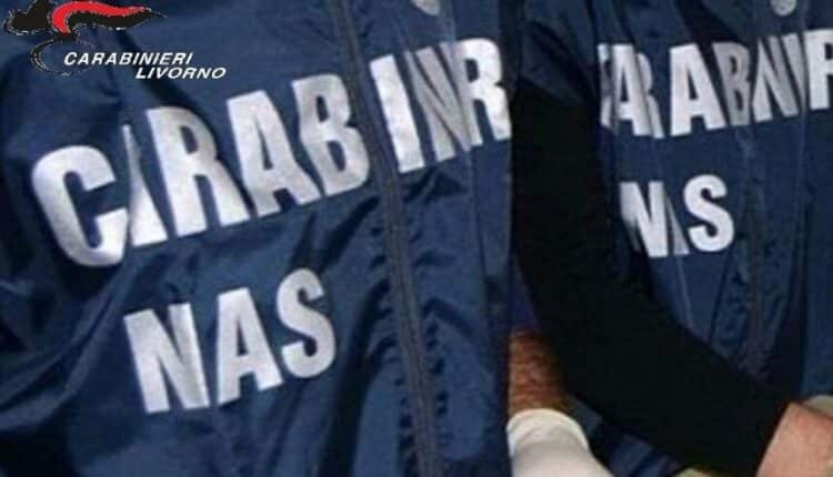 Livorno: servizio di controllo agli esercizi commerciali, un arresto e una denuncia per violazione della normativa sull'igiene dei locali pubblici.