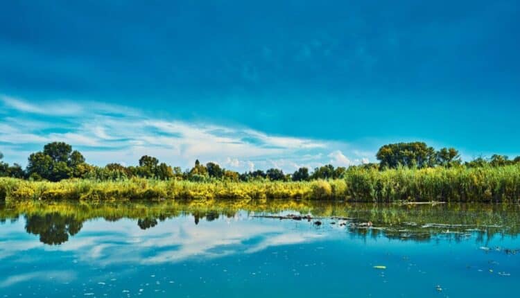 Regione Lombardia stanzia 900.000 euro per la valorizzazione delle aree protette regionali.