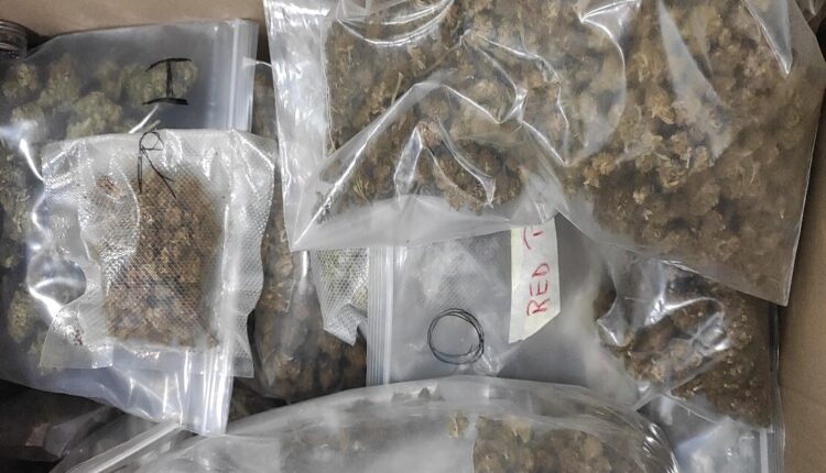 Roma: sequestrati 70 chili di canapa sativa non conforme