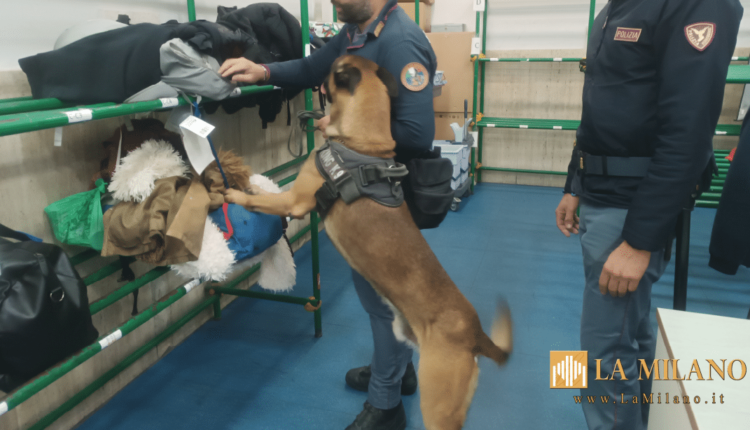 Operazione "Stazioni Sicure": controlli a tappeto negli scali ferroviari della Sicilia. Numerose sanzioni ed un sequestro