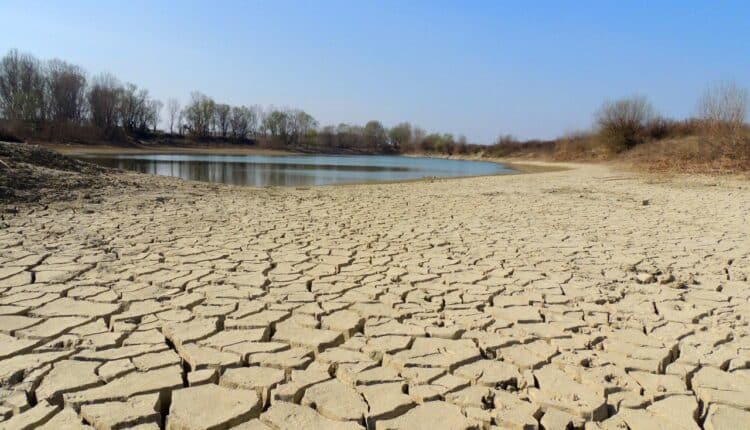 Sicilia, è flagellata dall'emergenza siccità