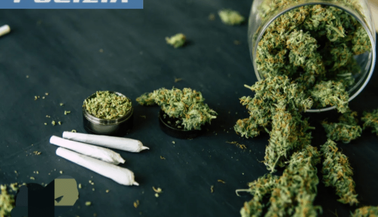 Vicenza: fermato e sanzionato dalla Polizia straniero in possesso di cannabis