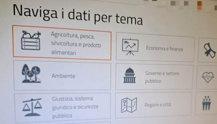 Online "Bari Open Data", il nuovo portale del Comune dedicato alla condivisione e al riutilizzo dei dati aperti dell'ente