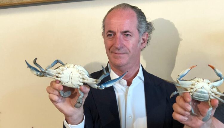 Veneto, "granchio blu", emergenza della pesca