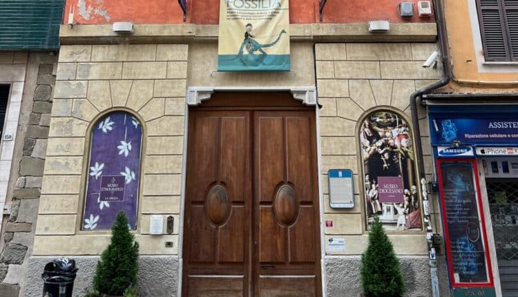 Record di incassi nei Musei Civici della Spezia con oltre 70mila visitatori