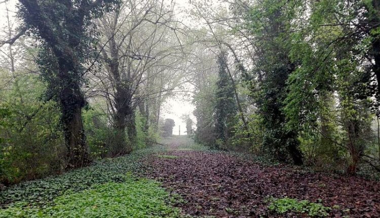 Rovigo, la riqualificazione di Parco Langer è una realtà