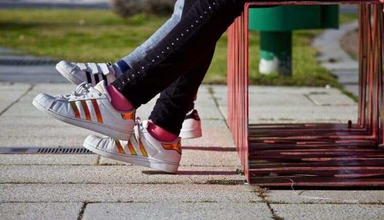 Un progetto europeo tra Trentino, Germania e Spagna per formare 24 giovani che non studiano né lavorano