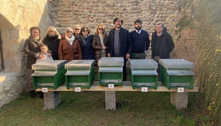 Verona, al Bastione della Maddalene il progetto di apicoltura urbana promosso dall'associazione "A testa in su"