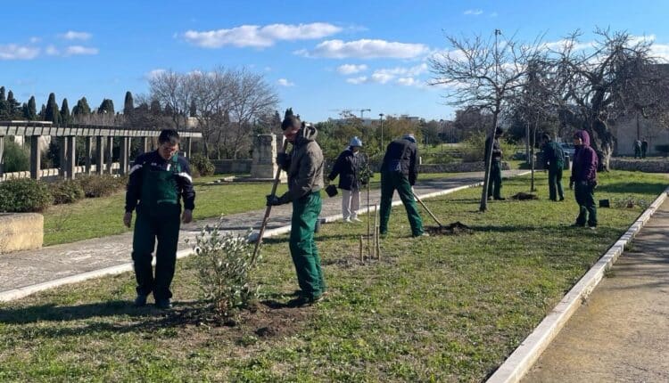 Lecce, Parco di Belloluogo, nuovi alberi e arbusti grazie alla collaborazione con Arnia
