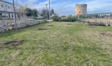 Lecce, Parco di Belloluogo, nuovi alberi e arbusti grazie alla collaborazione con Arnia
