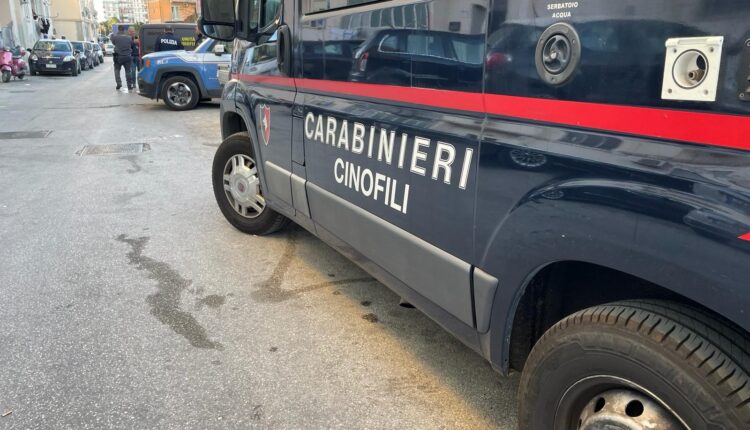 Siracusa: operazione ad "alto impatto" nel quartiere Mazzarona, perquisiti numerosi appartamenti. Rinvenuti stupefacenti ed esplosivo