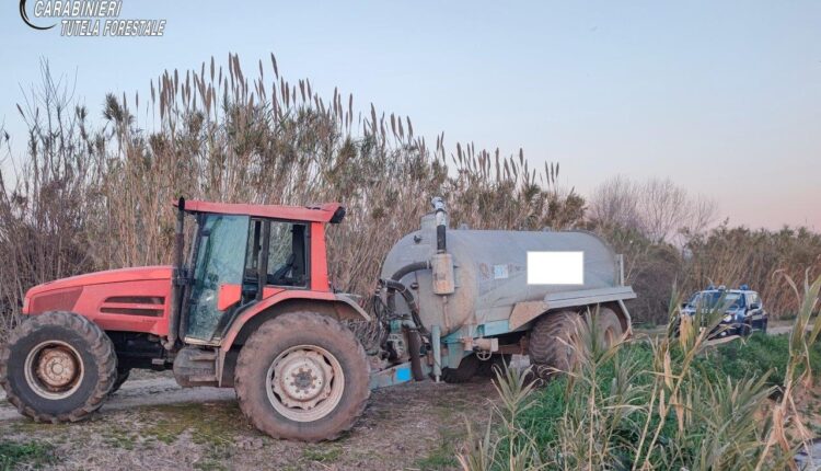 Cellole: i Carabinieri forestali sequestrano autobotte per spandimento di liquami zootecnici in periodo non consentito.