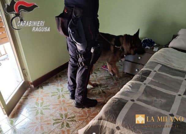 Ispica. Prezioso contributo del cane antidroga Rilej per arrestare un giovane 19enne. E' stato trovato in possesso di cocaina e hashish a fine di spaccio.